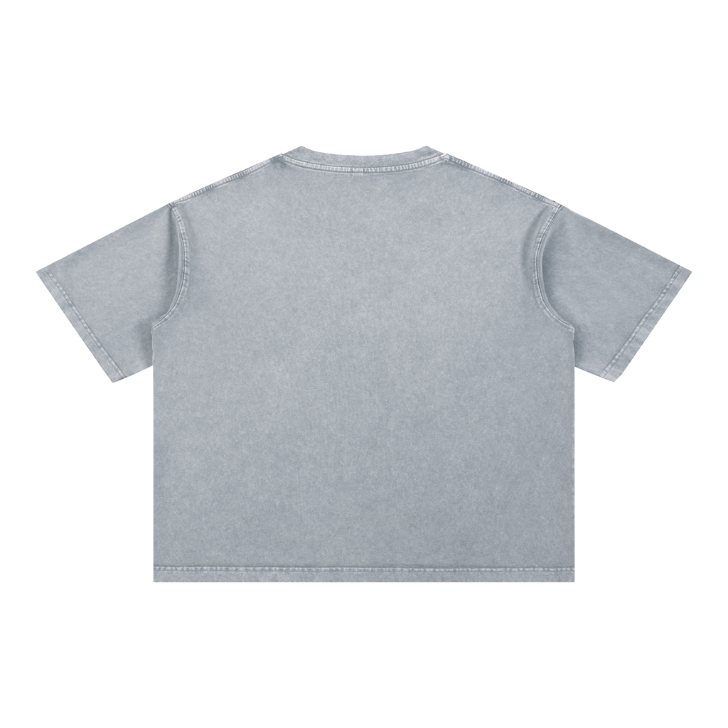 LW 123 Cotton T-Shirt