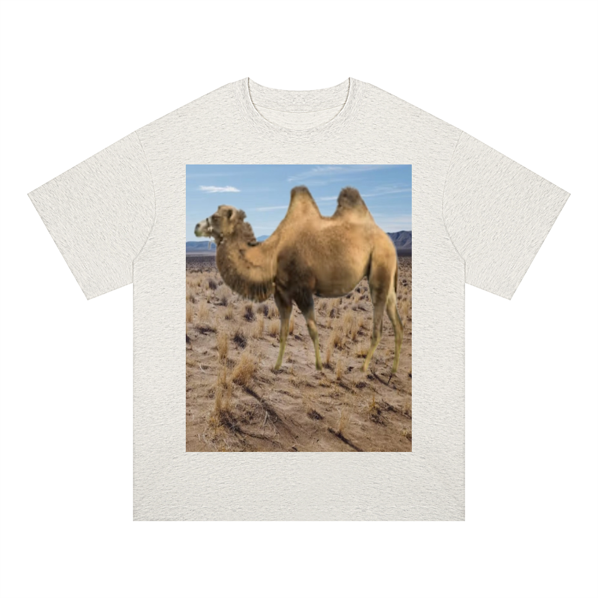 LW 123 Drop Shoulder T-Shirt
