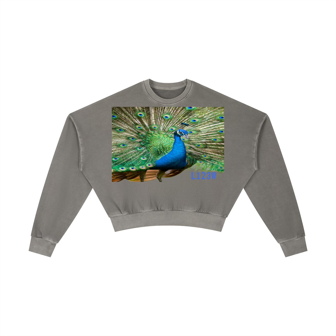 Vintage Washed Cropped Sweatshirt