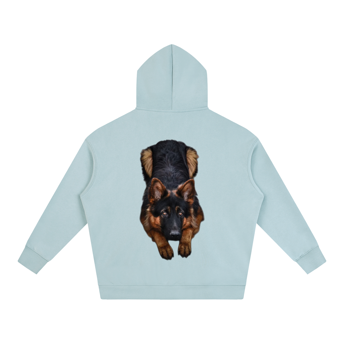 LW 123  Fleeced Hoodie
