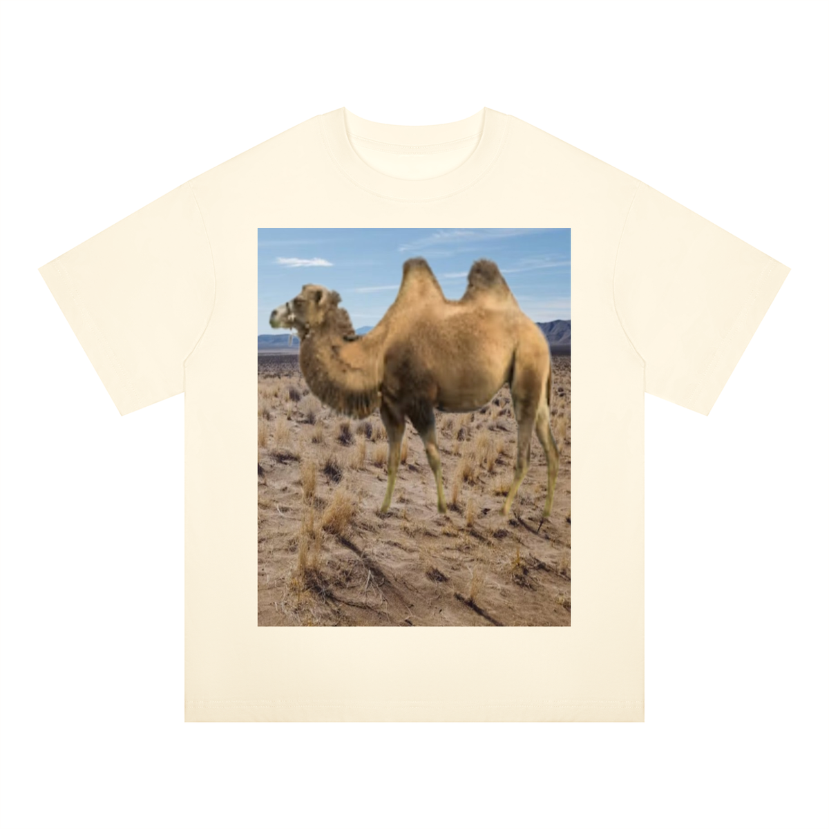 LW 123 Drop Shoulder T-Shirt