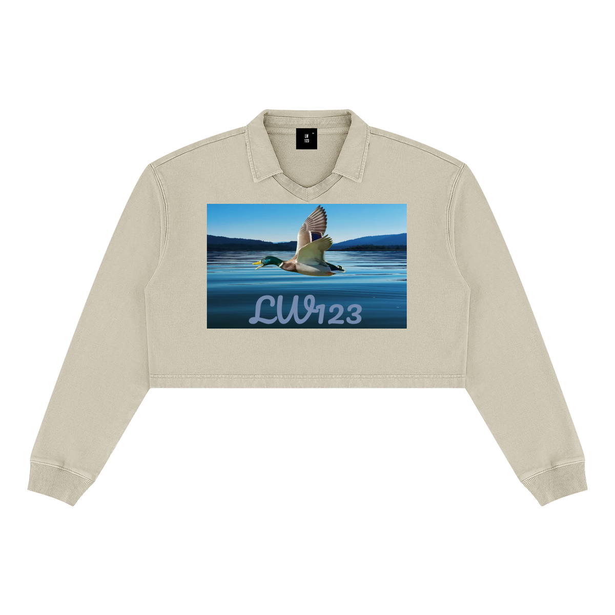 LW 123  Vintage Crop Sweatshirt