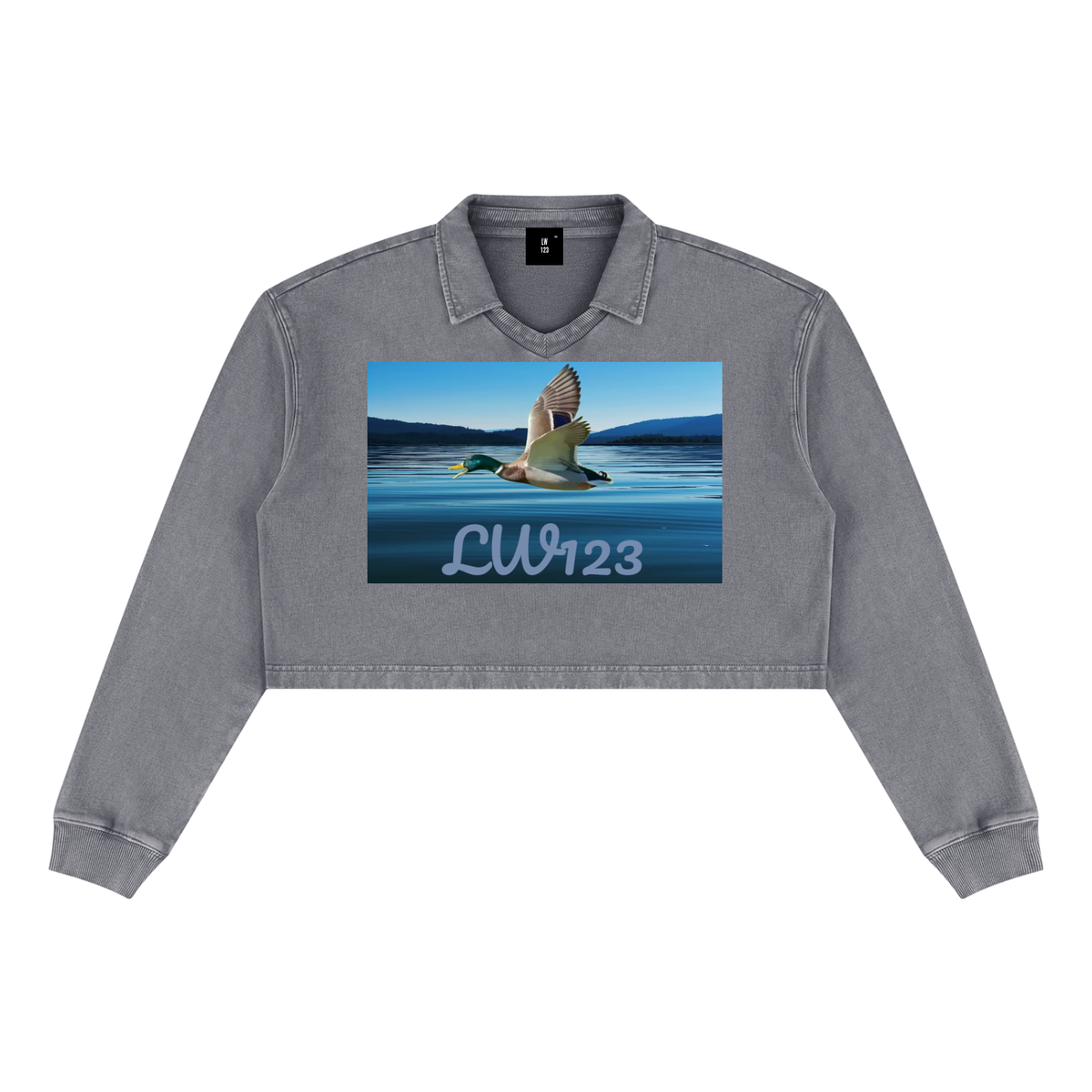 LW 123  Vintage Crop Sweatshirt