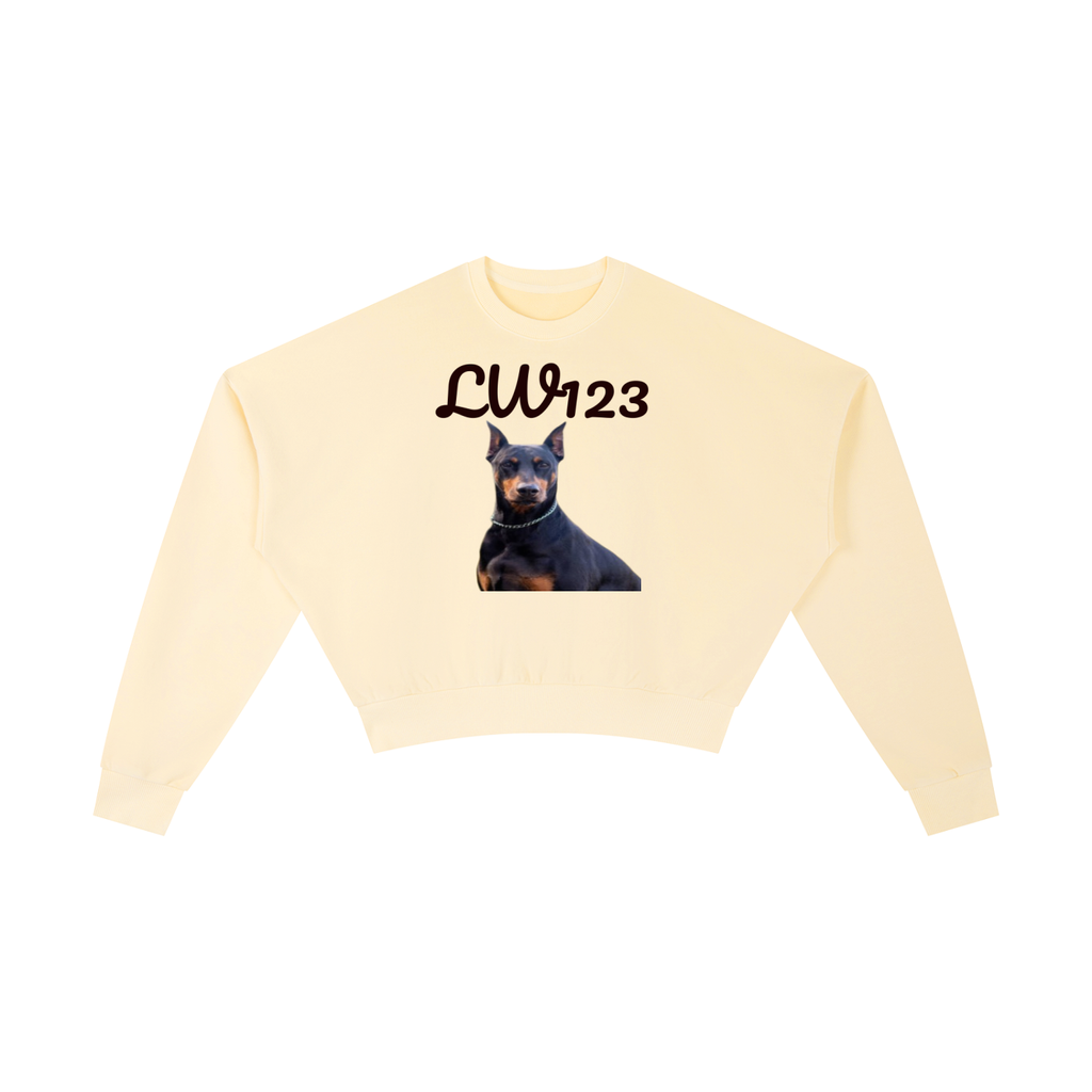 Vintage Washed Cropped Sweatshirt