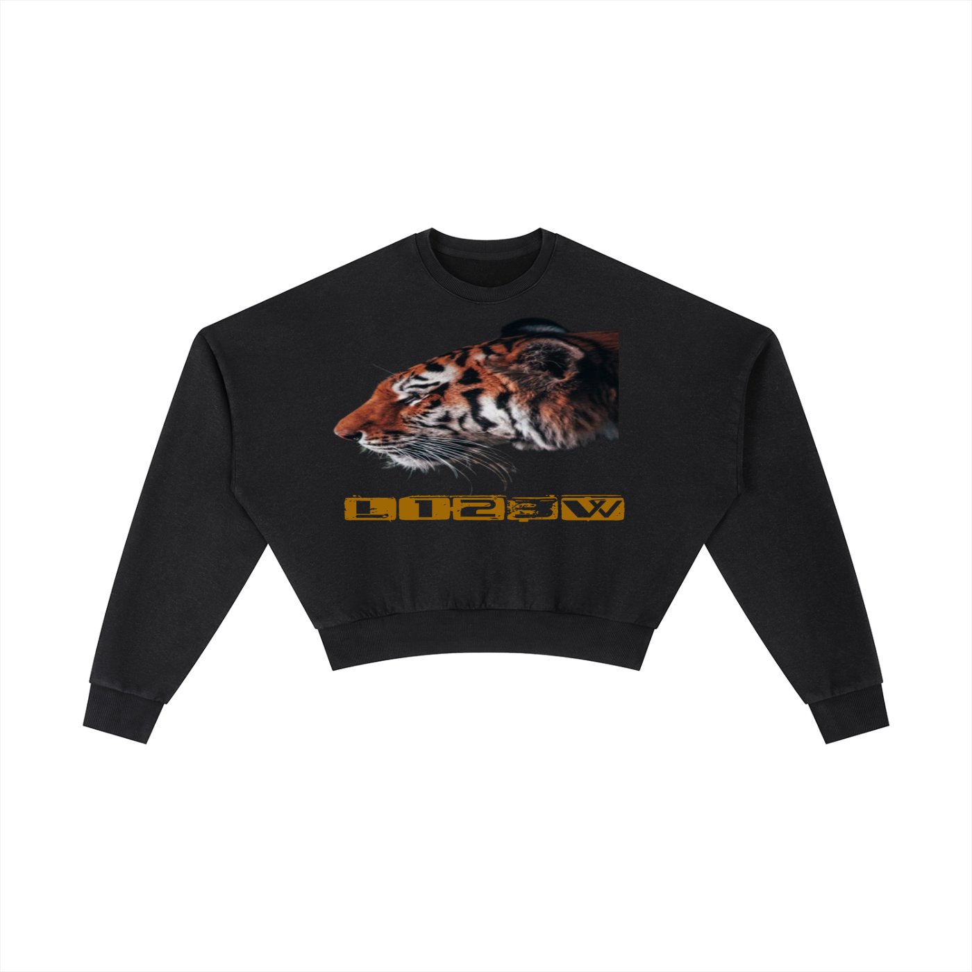 Vintage Washed Cropped Sweatshirt