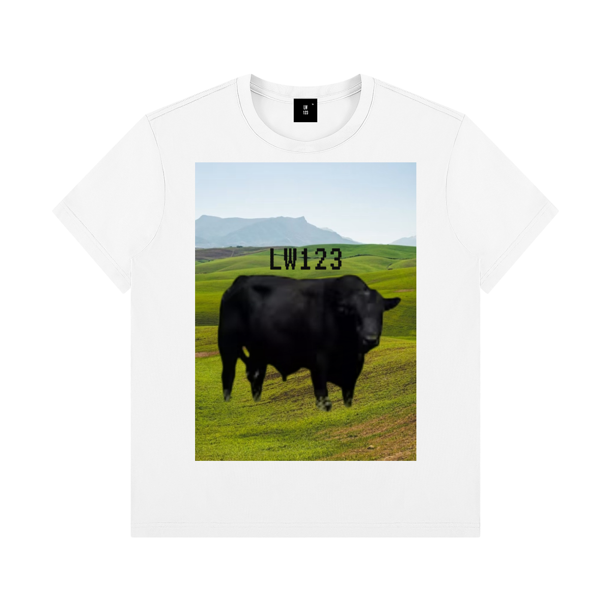 LW 123  Crewneck T-Shirt