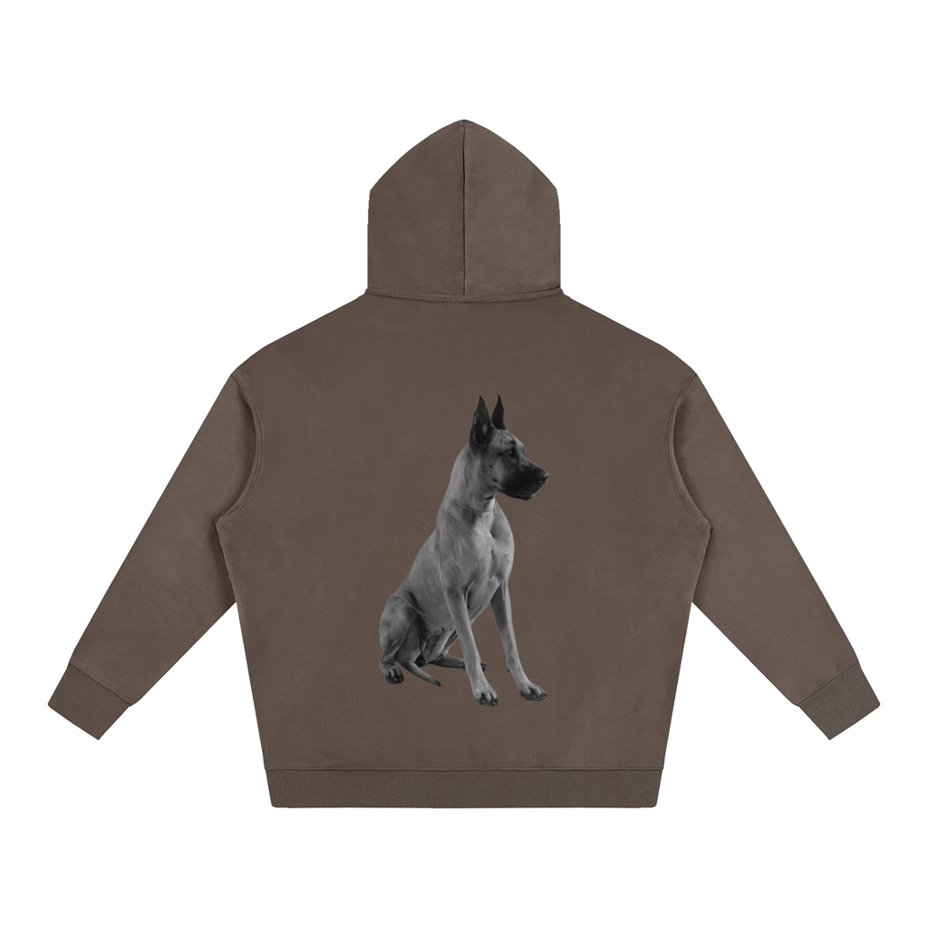 LW 123 Oversize Fleeced Hoodie