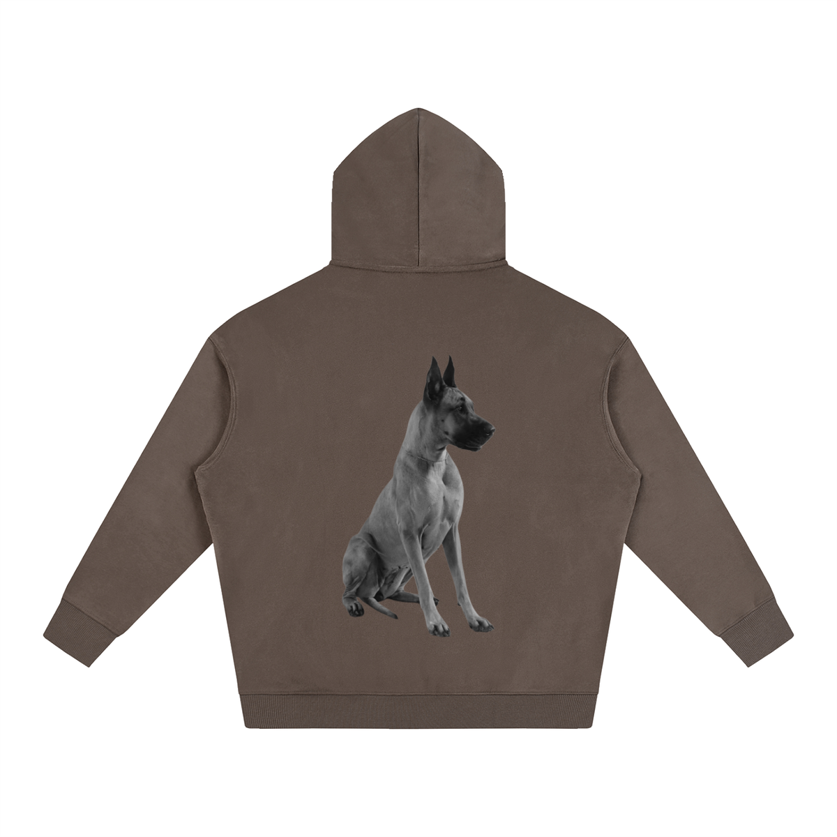 LW 123 Oversize Fleeced Hoodie