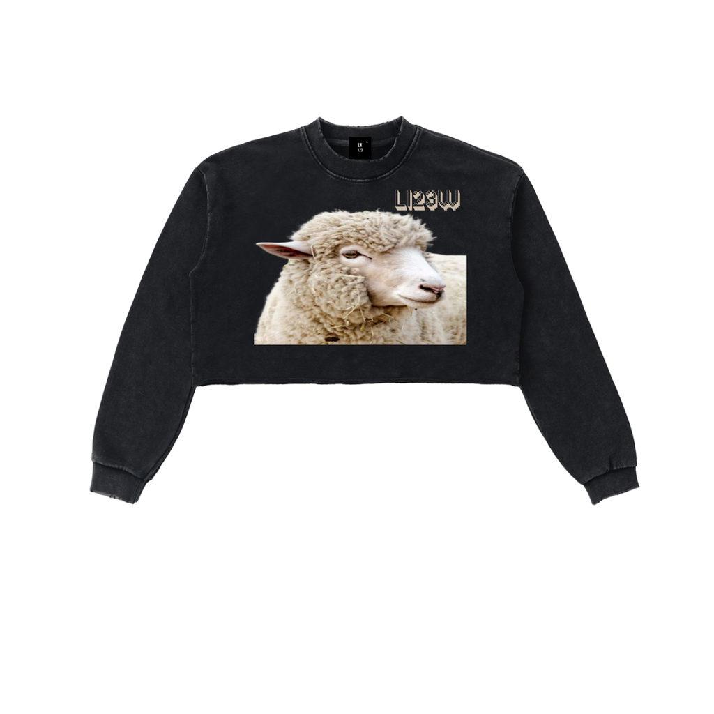 Snow Washed Raw Edge Cropped Sweatshirt