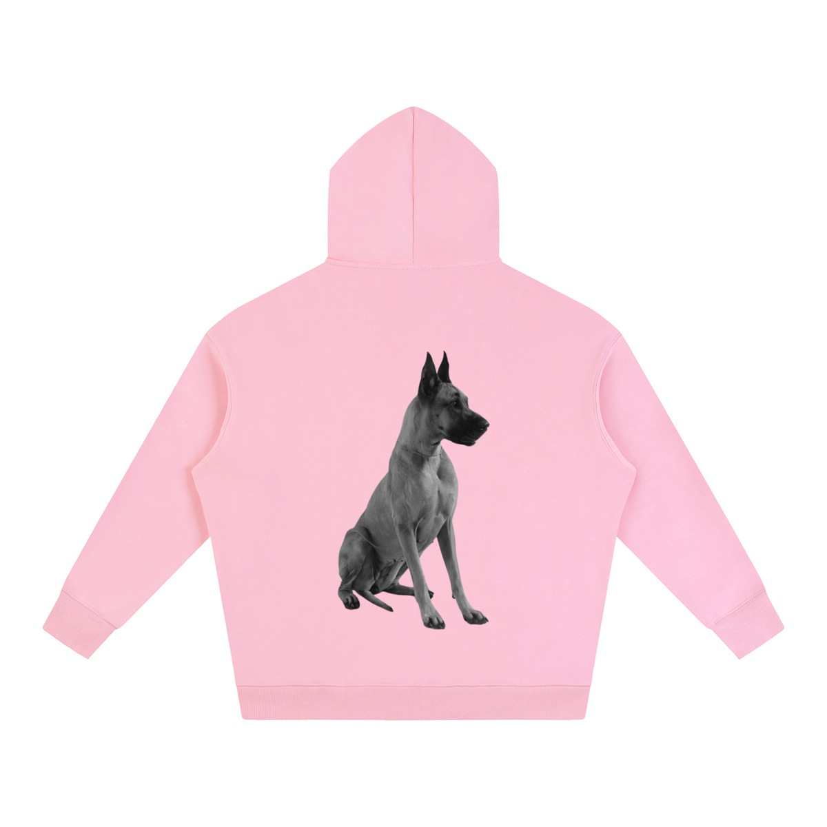 LW 123 Oversize Fleeced Hoodie