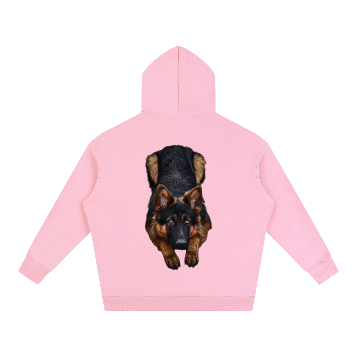 LW 123  Fleeced Hoodie