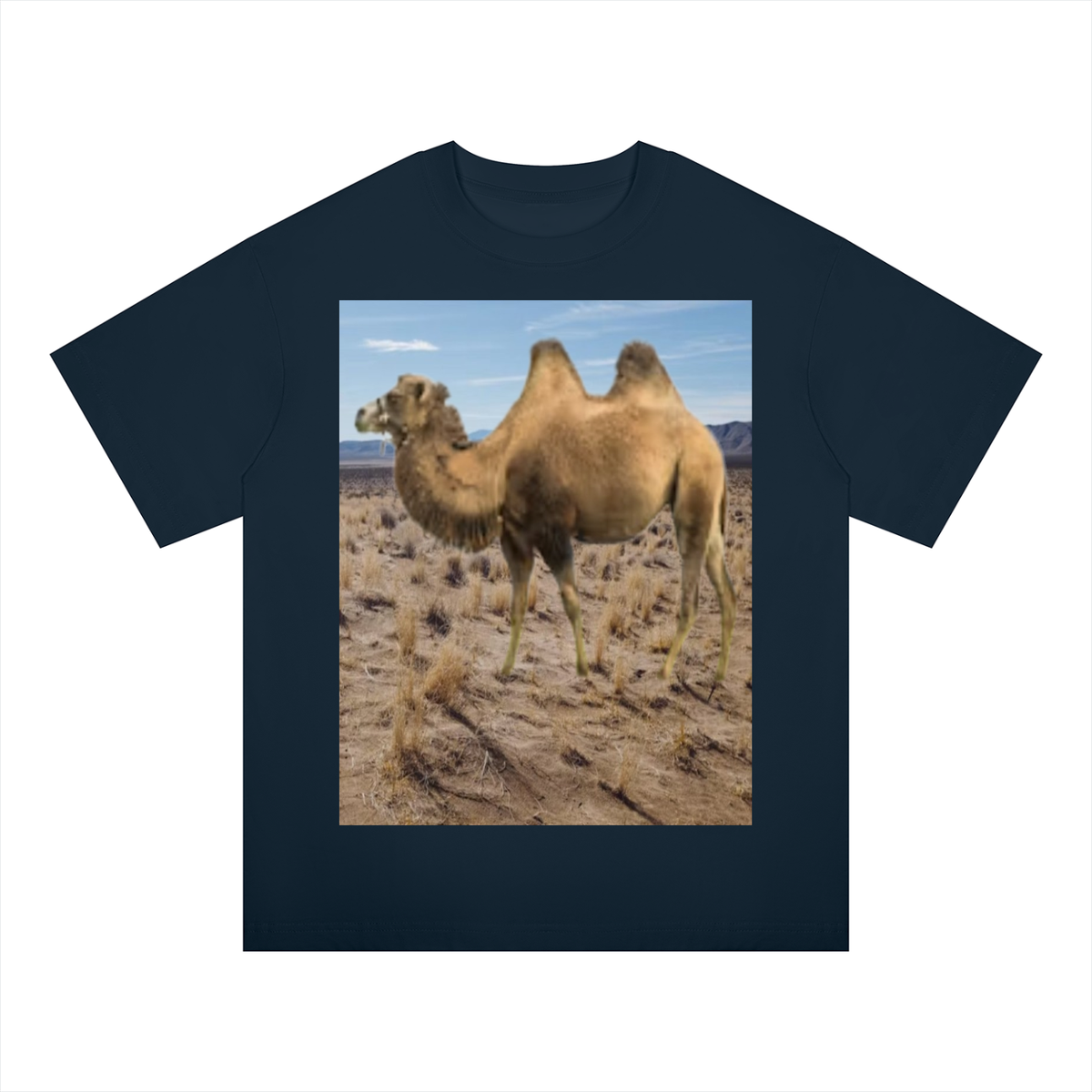 LW 123 Drop Shoulder T-Shirt