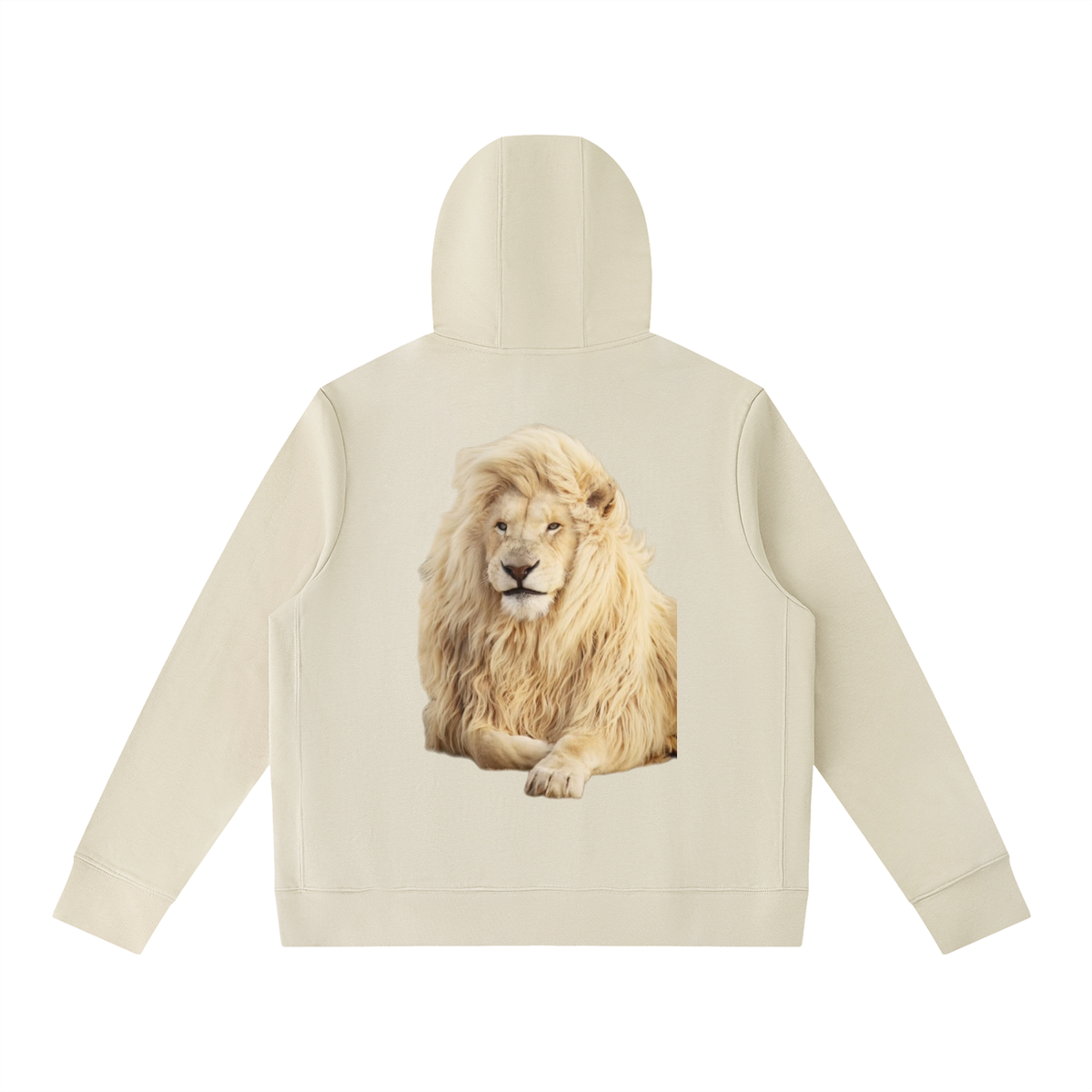 LW 123  Pullover Hoodie