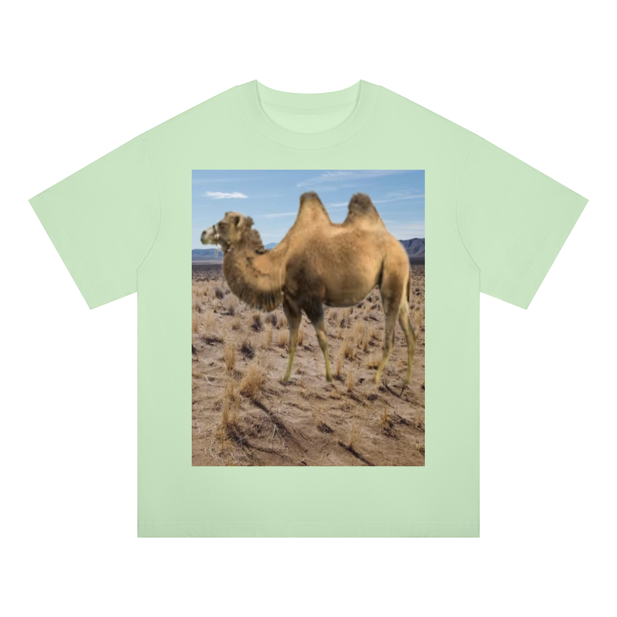 LW 123 Drop Shoulder T-Shirt