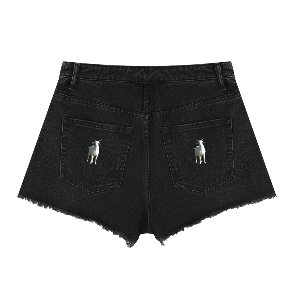 LW 123  High Rise Denim Shorts