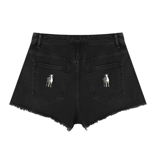 LW 123  High Rise Denim Shorts