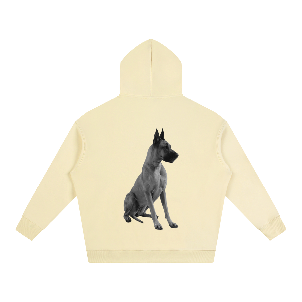 LW 123 Oversize Fleeced Hoodie
