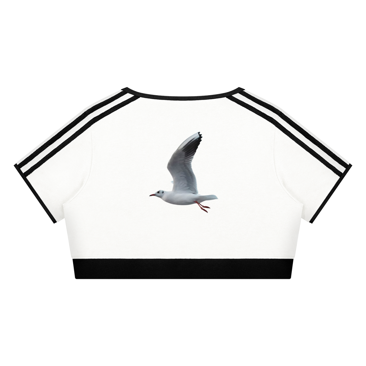 LW 123  Crop T-Shirt