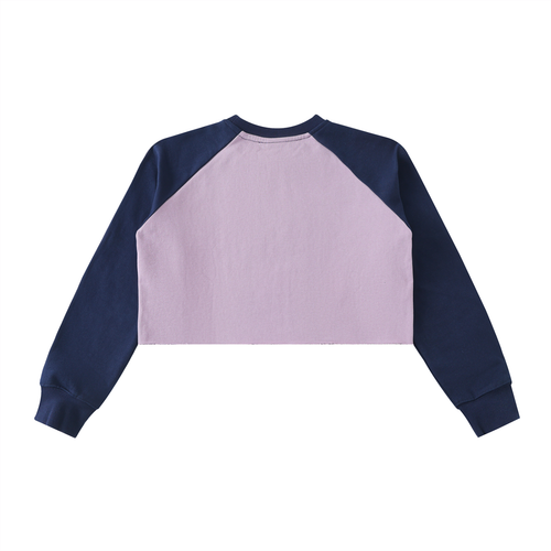 LW 123  Crop Sweatshirt