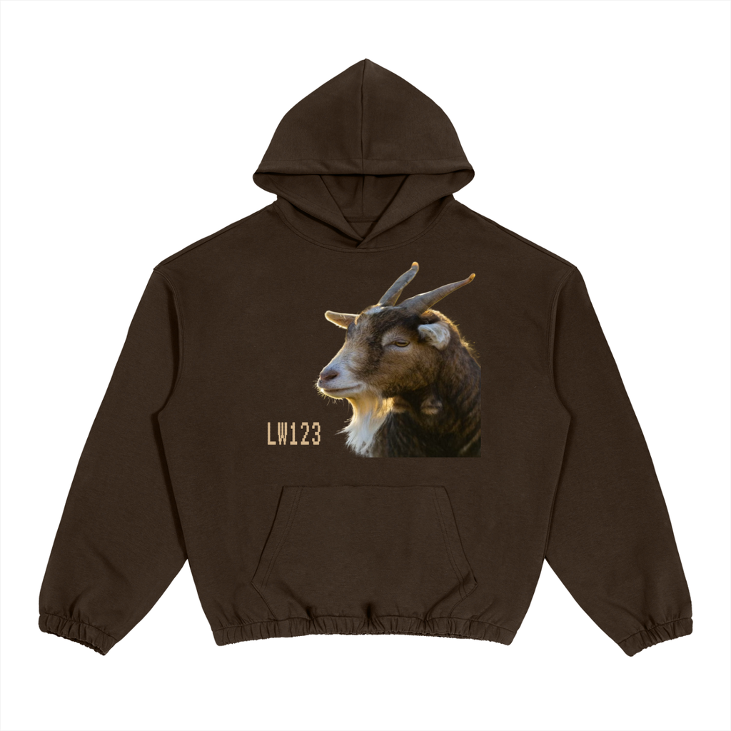 Boxy Cinched Hem Hoodie