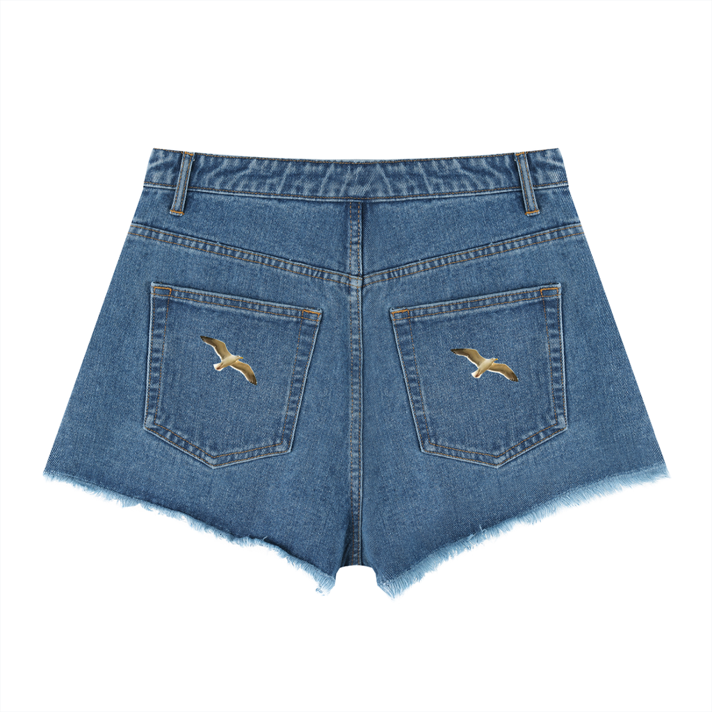 LW 123  High Rise Denim Shorts