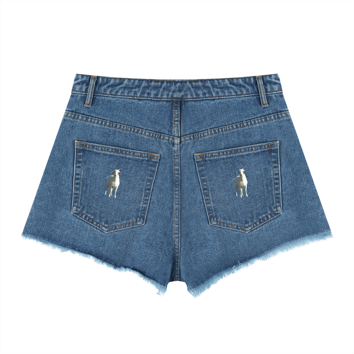 LW 123  High Rise Denim Shorts
