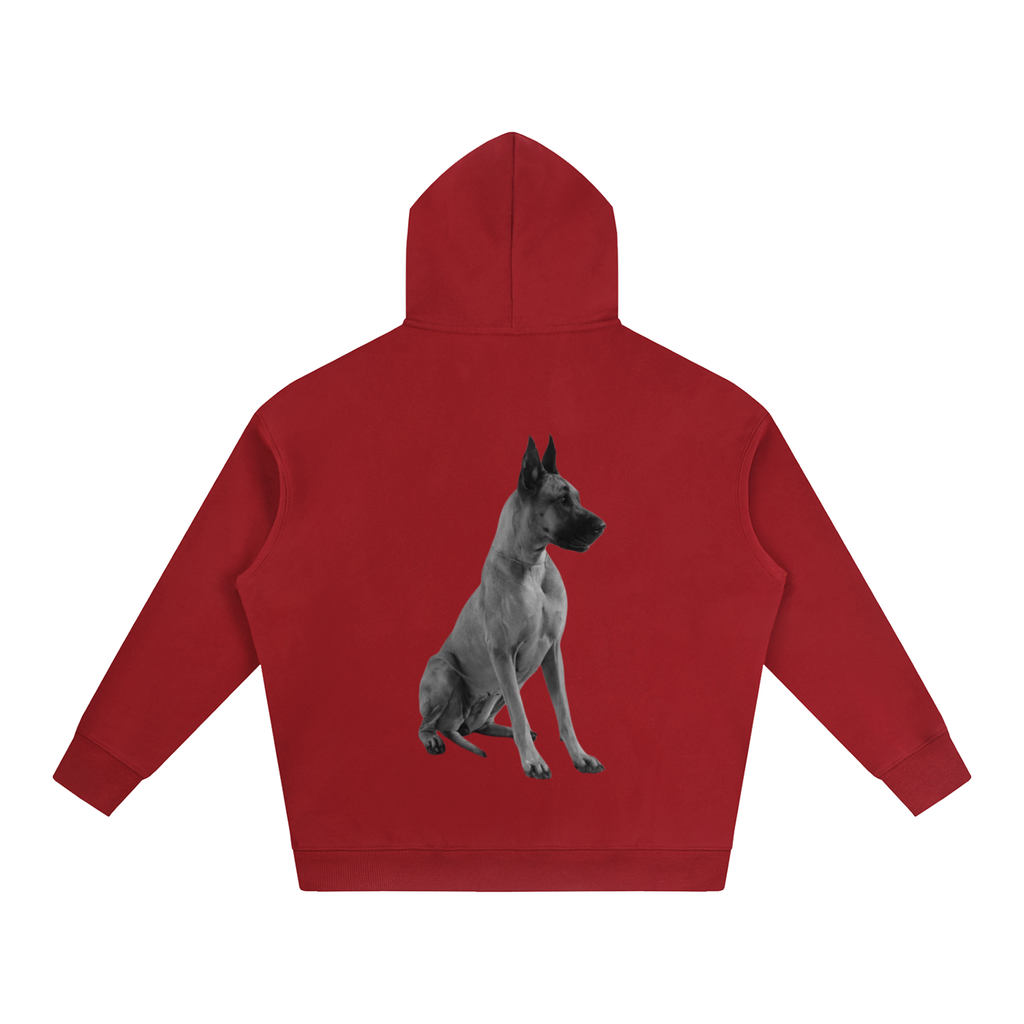 LW 123 Oversize Fleeced Hoodie