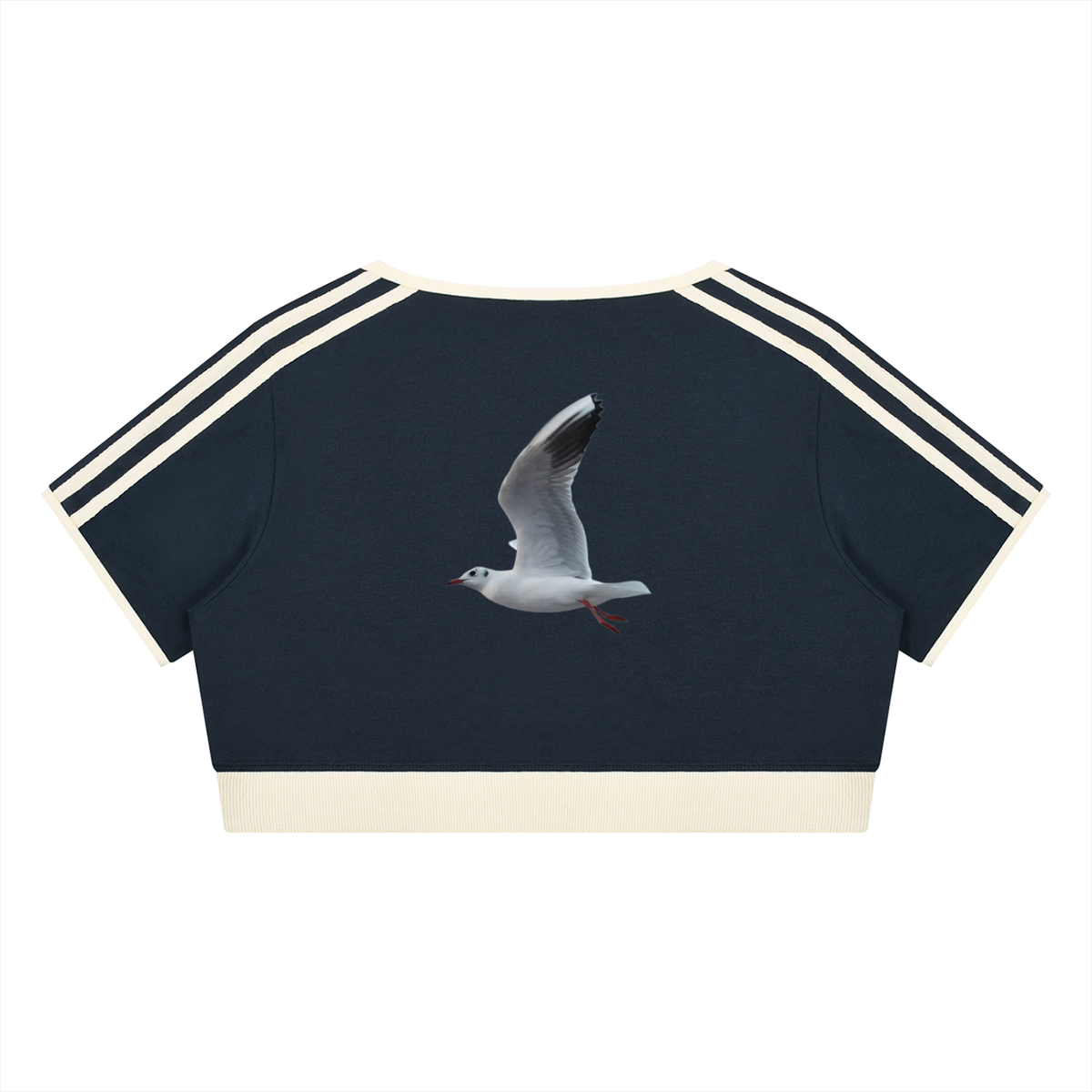 LW 123  Crop T-Shirt