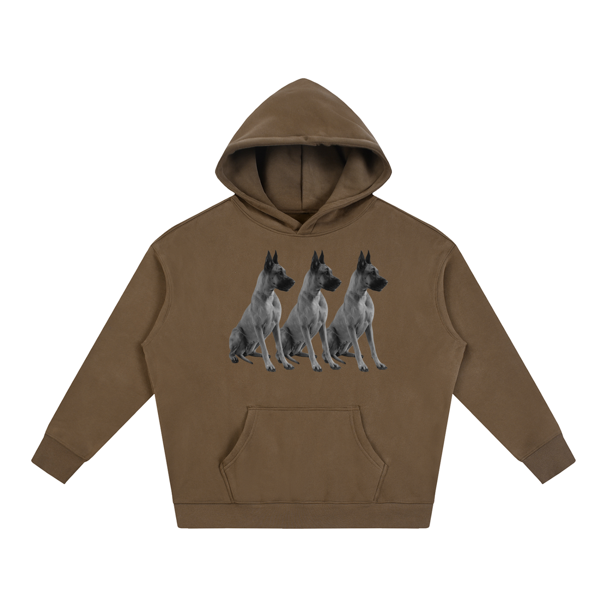 LW 123 Oversize Fleeced Hoodie
