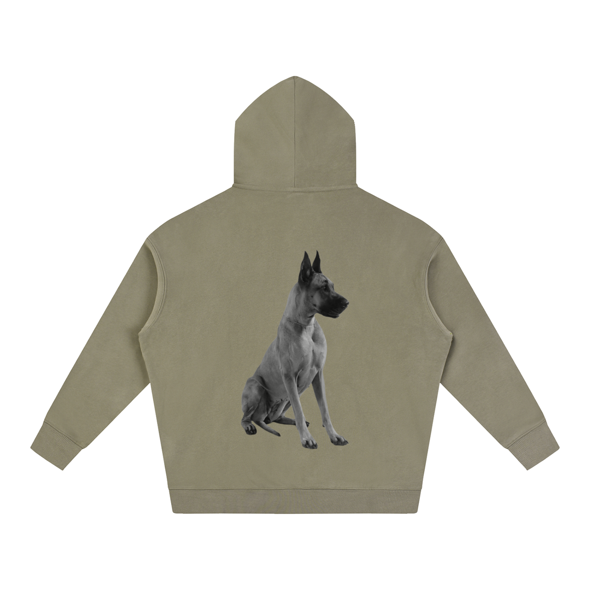 LW 123 Oversize Fleeced Hoodie