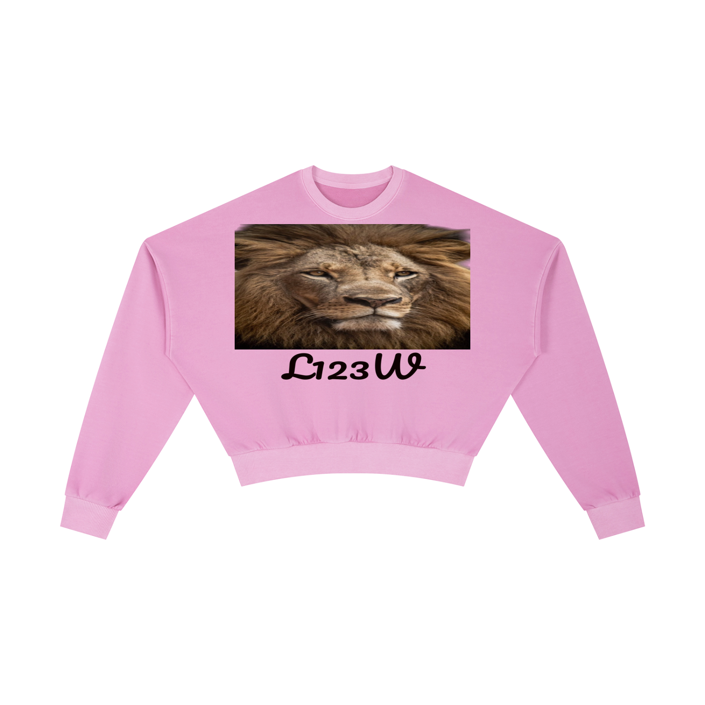 Vintage Washed Cropped Sweatshirt