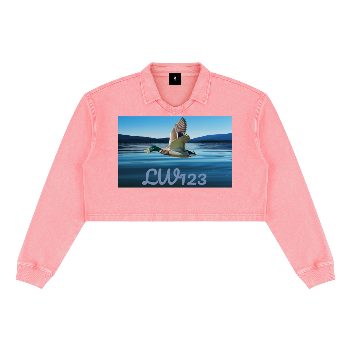 LW 123  Vintage Crop Sweatshirt