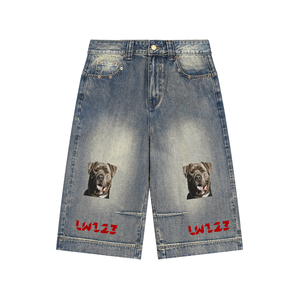 LW 123 Denim Shorts