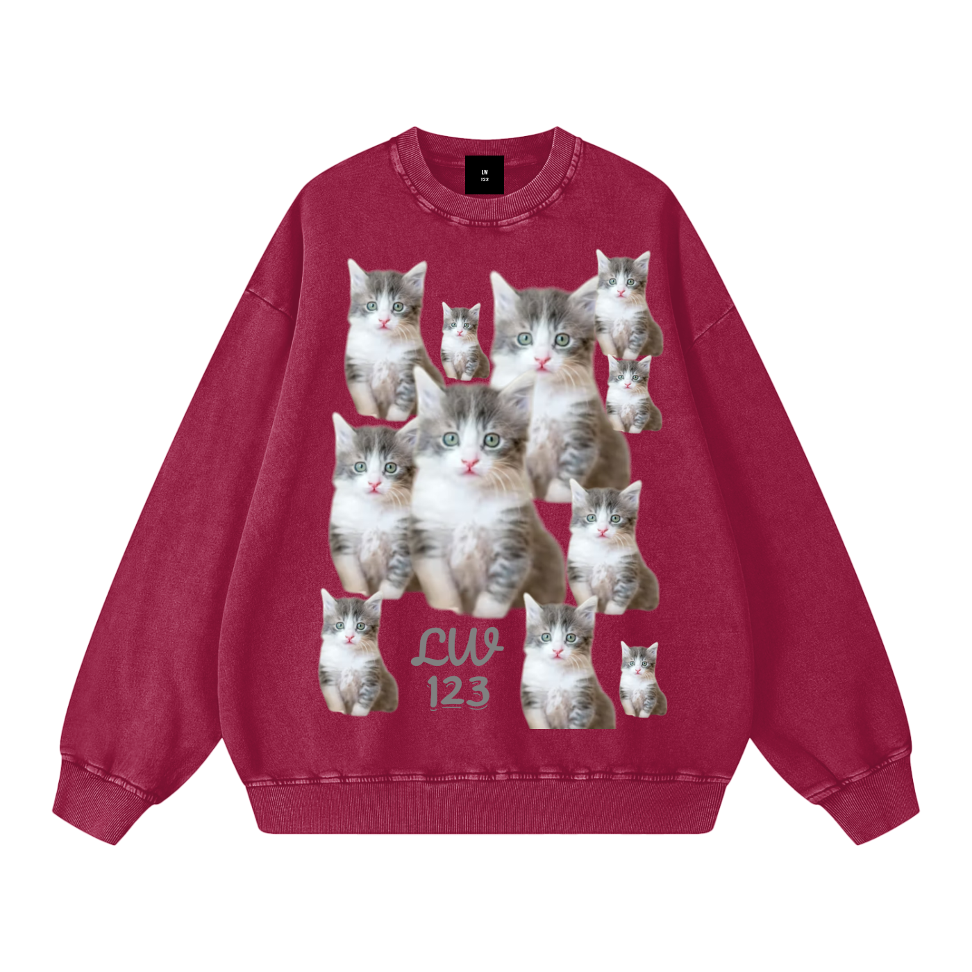 Snow Washed Oversized Sweatshirt