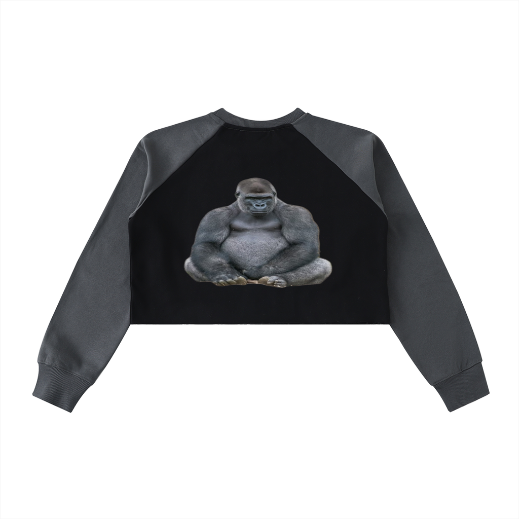 Raw-Hem Color-Block Raglan Crop Sweatshirt