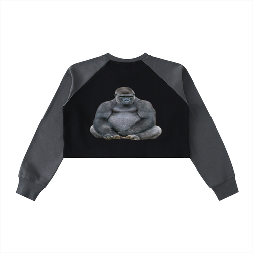 LW 123  Color-Block Raglan Crop Sweatshirt