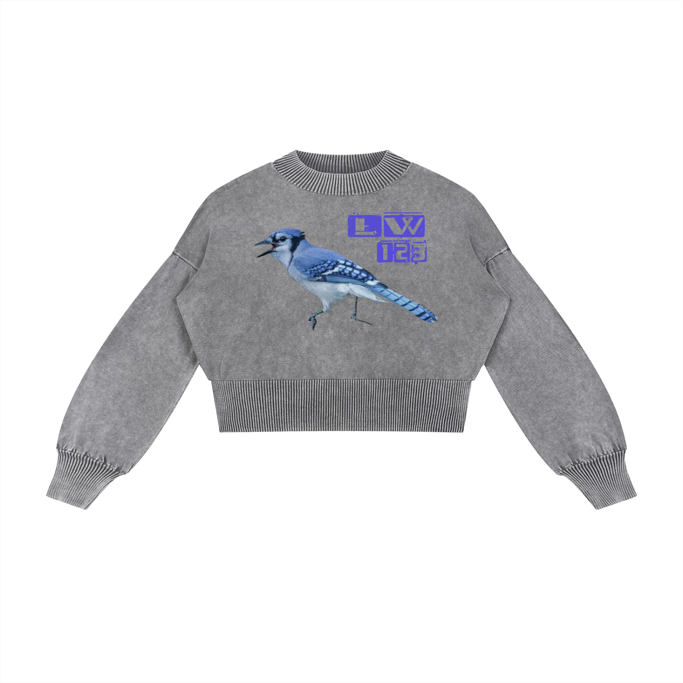 Mineral Wash Balloon Sleeve Cropped Sweater