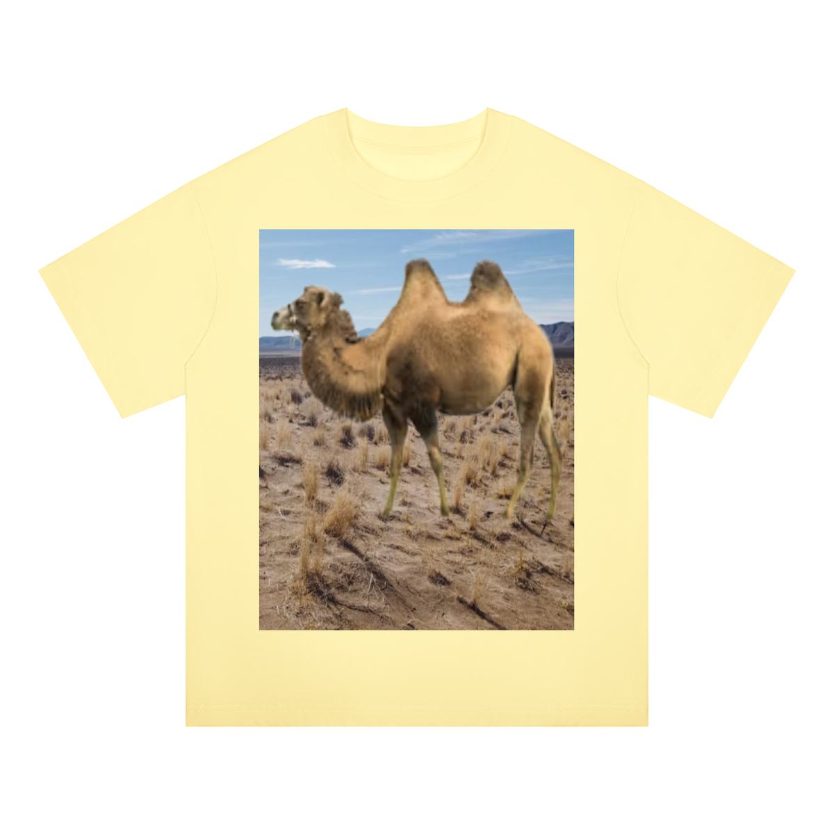 LW 123 Drop Shoulder T-Shirt