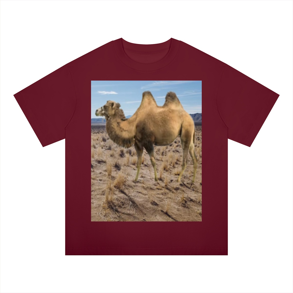 LW 123 Drop Shoulder T-Shirt