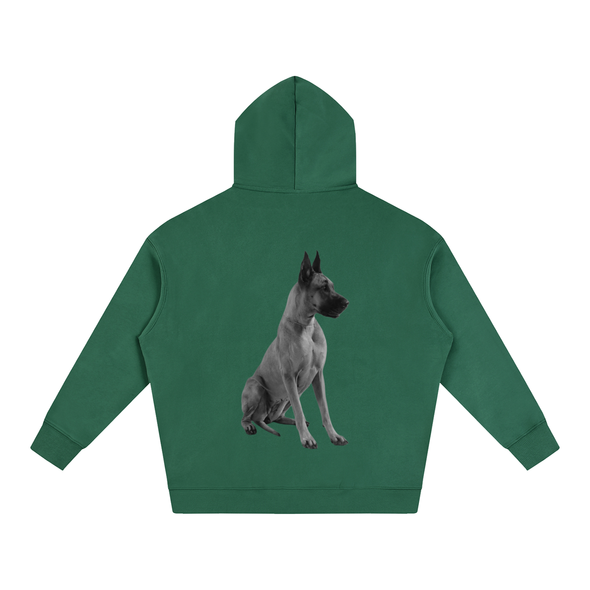 LW 123 Oversize Fleeced Hoodie