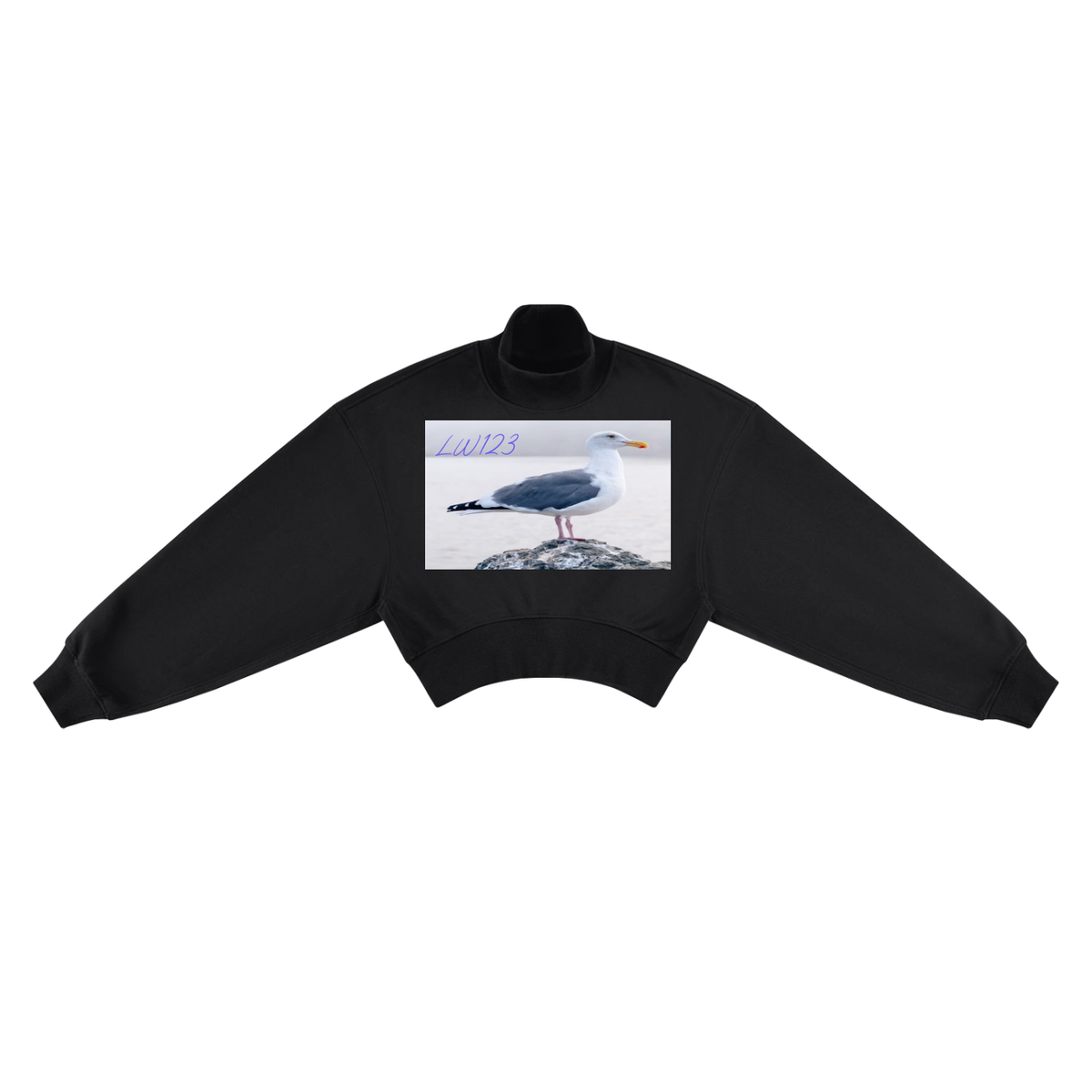 LW 123 Crop Mock Neck Sweatshirt