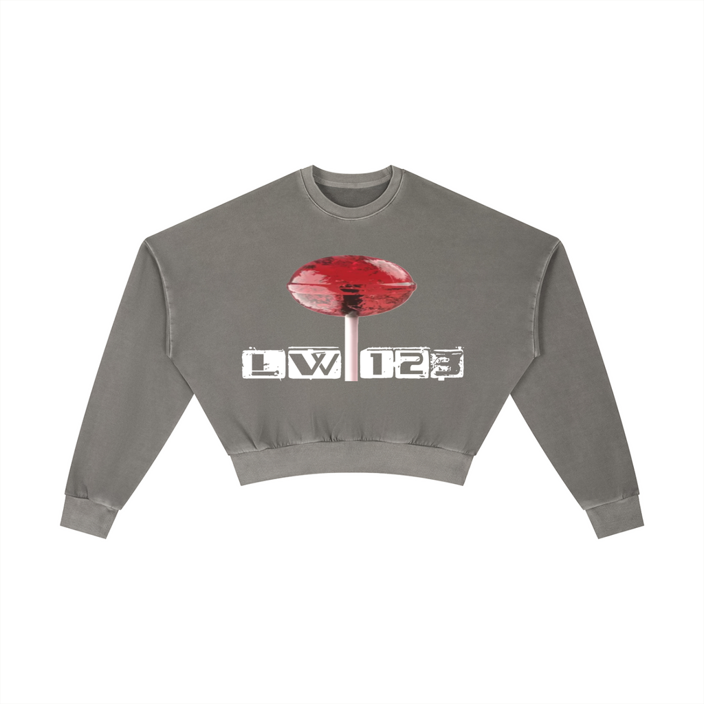 Vintage Washed Cropped Sweatshirt