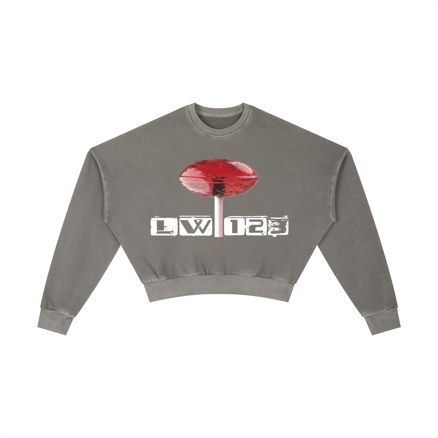 Vintage Washed Cropped Sweatshirt