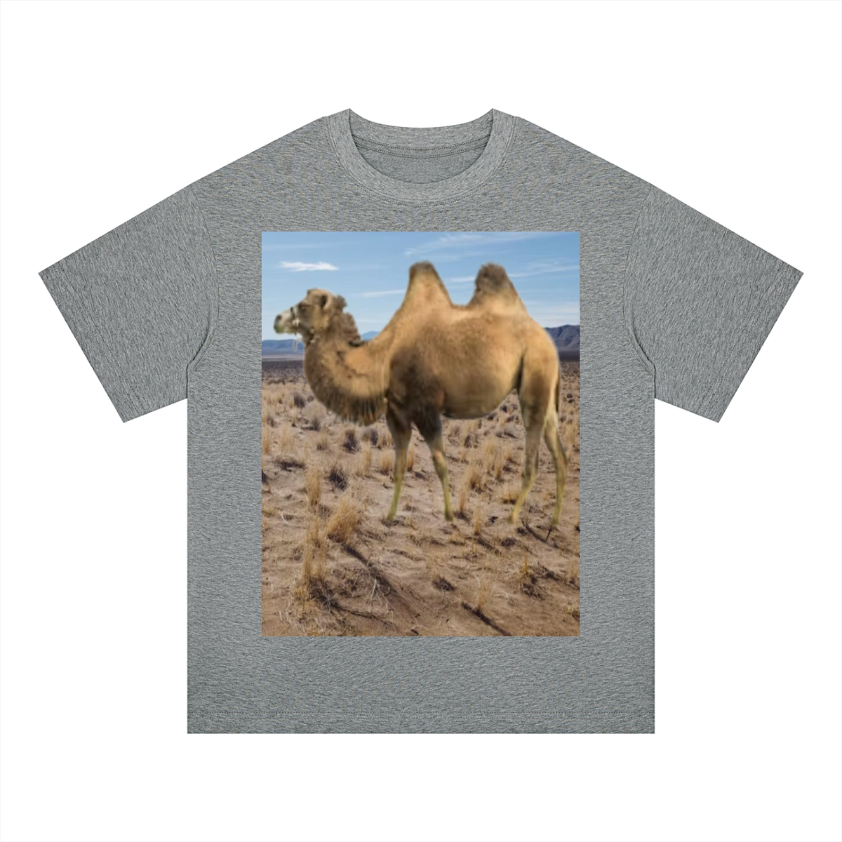 LW 123 Drop Shoulder T-Shirt