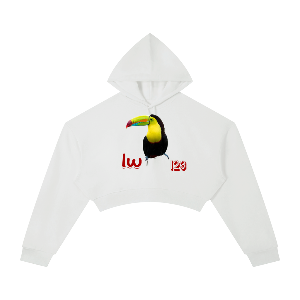 LW 123 Cropped Hoodie