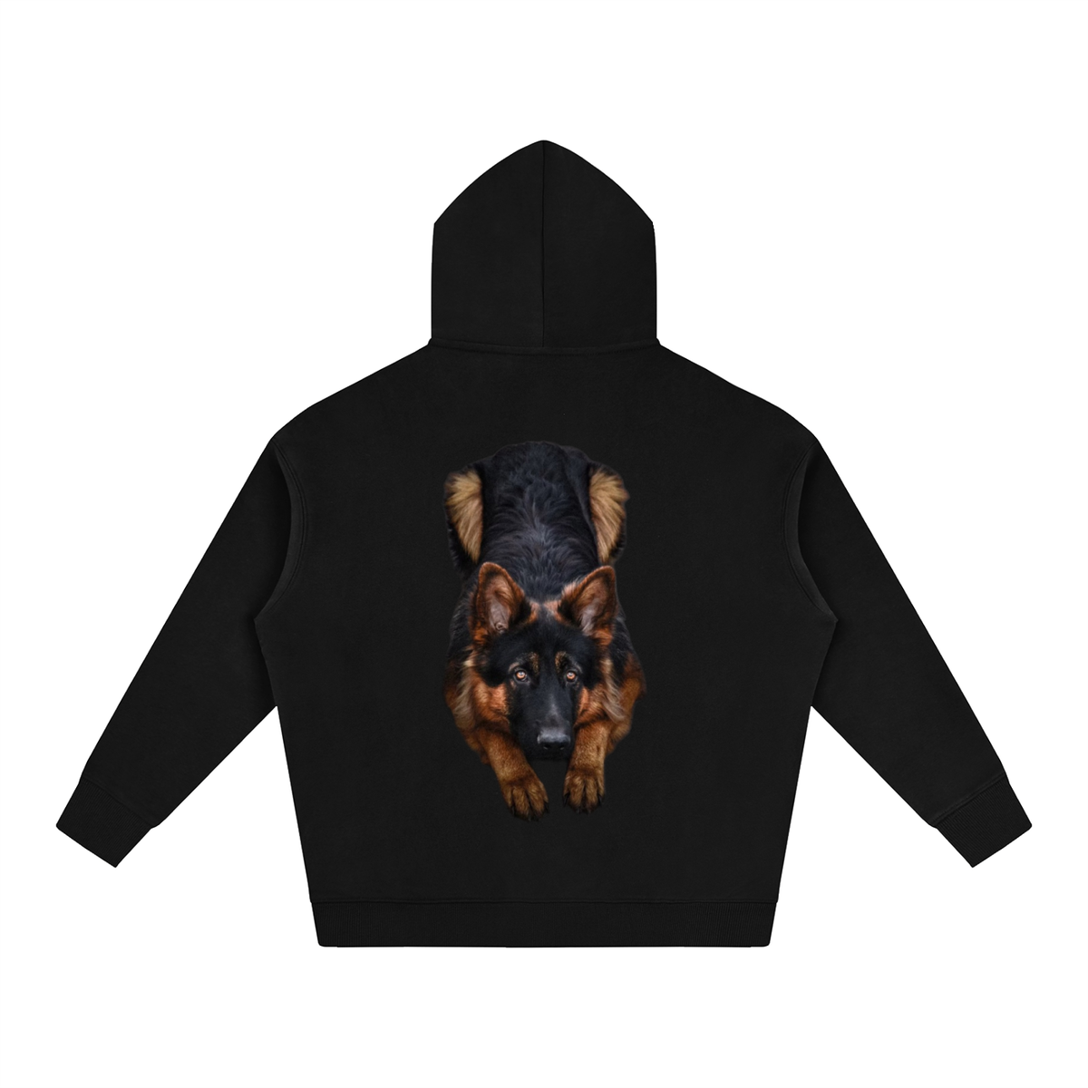 LW 123  Fleeced Hoodie