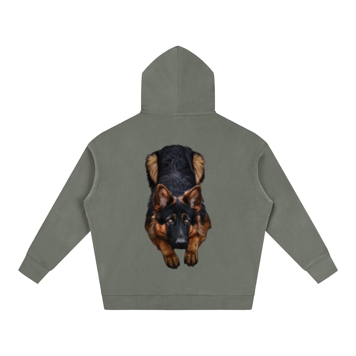 LW 123  Fleeced Hoodie