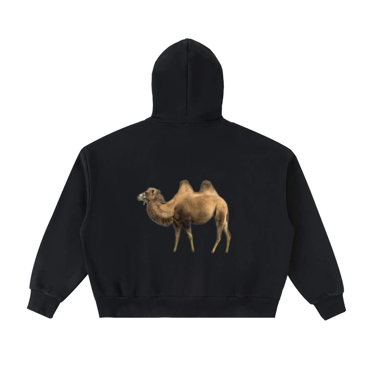 LW 123 Fleeced Hoodie