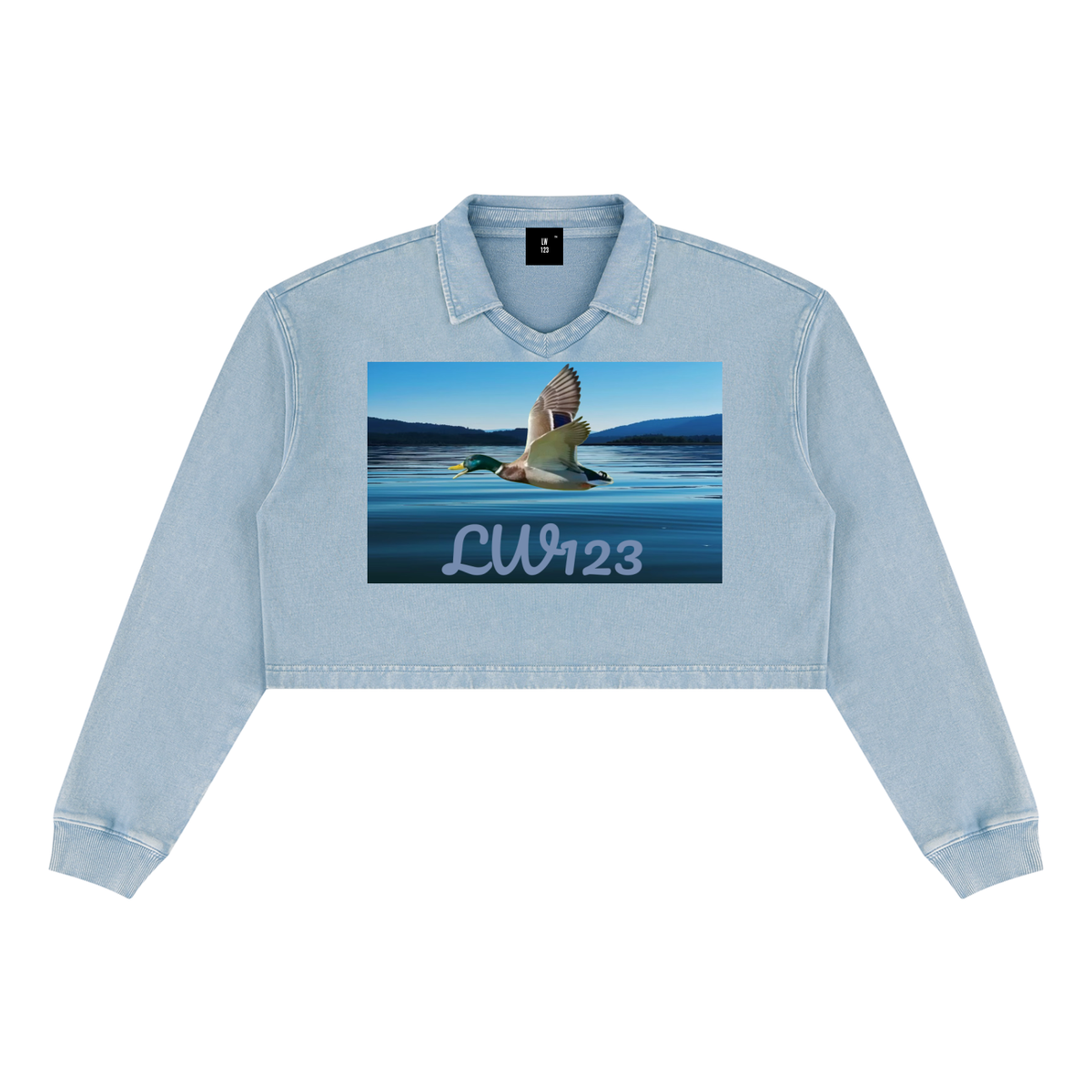 LW 123  Vintage Crop Sweatshirt