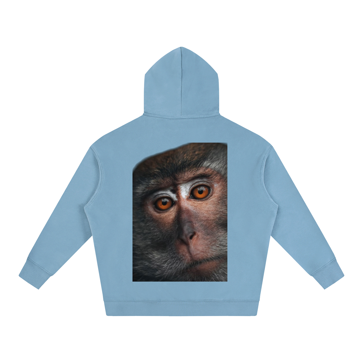 LW 123 Oversize Fleeced Hoodie